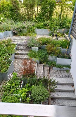 2022_Lichtgraben Eberhard 2.JPG